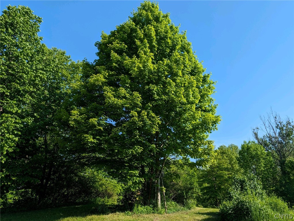 9990 Pennymix Road Camden, NY 13316 - Photo 10 of 11