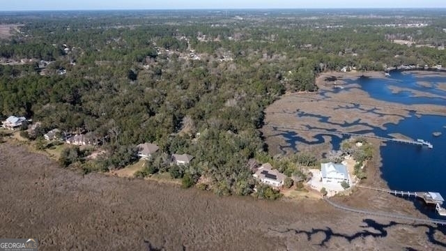 309 Long Point Circle St. Marys, GA 31558 - Photo 13 of 21 an aerial view of multiple house