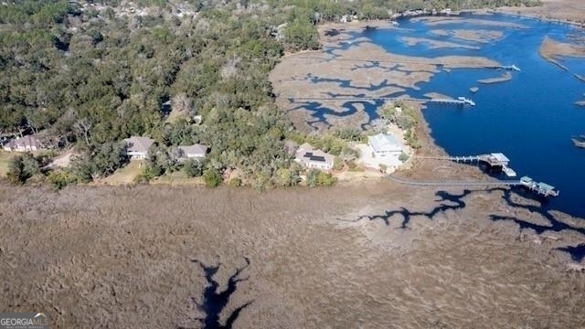 309 Long Point Circle St. Marys, GA 31558 - Photo 14 of 21 a view of plant in a field
