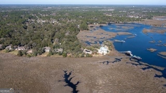 309 Long Point Circle St. Marys, GA 31558 - Photo 15 of 21 an aerial view of a house with a yard
