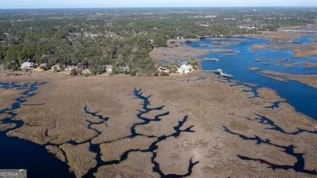 309 Long Point Circle St. Marys, GA 31558 - Photo 16 of 21 a view of a lake with beach
