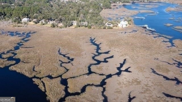 309 Long Point Circle St. Marys, GA 31558 - Photo 18 of 21 a view of a backyard of a house
