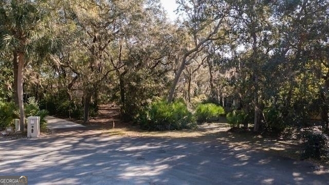 309 Long Point Circle St. Marys, GA 31558 - Photo 3 of 21 a view of outdoor space with trees