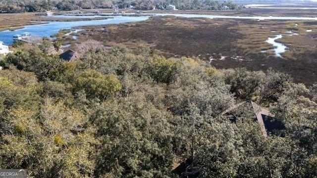 309 Long Point Circle St. Marys, GA 31558 - Photo 5 of 21 a view of a dry yard with wooden floor