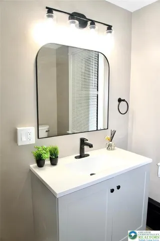 a bathroom with a sink a toilet and mirror