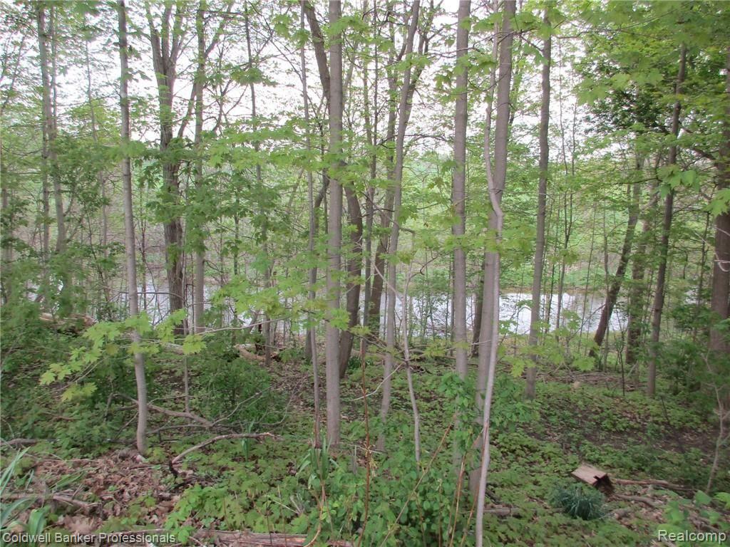 0 Mill & Newburg Road Bancroft, MI 48414 - Photo 7 of 12 Gallery Image 7