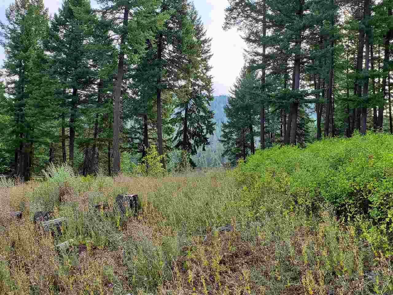 159-xx North Forker Road Spokane, WA 99217 - Photo 1 of 20