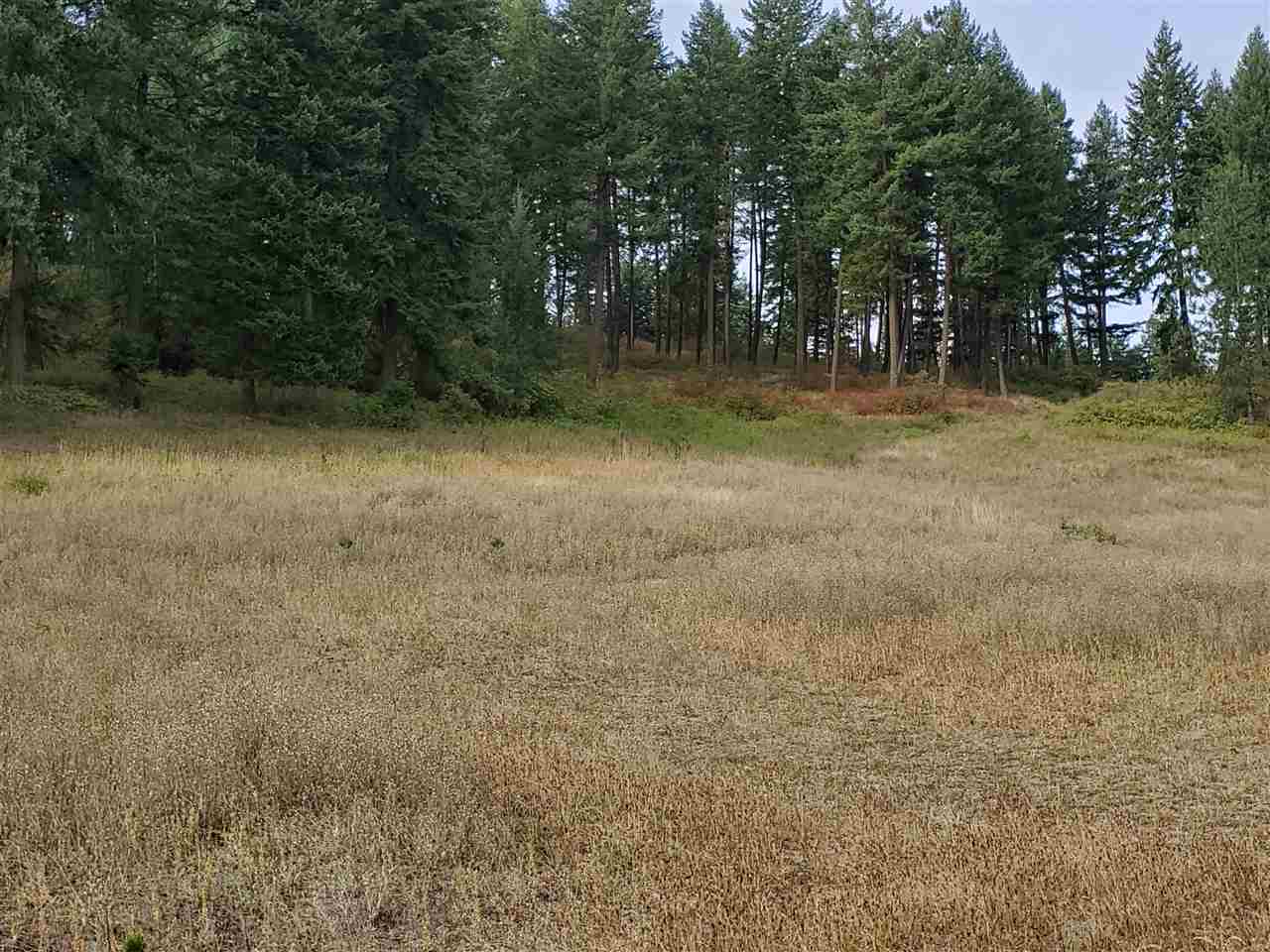 159-xx North Forker Road Spokane, WA 99217 - Photo 14 of 20