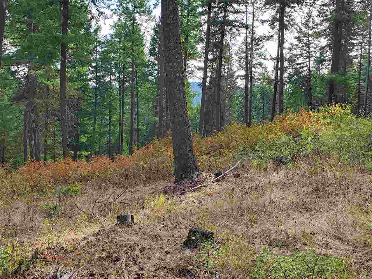 159-xx North Forker Road Spokane, WA 99217 - Photo 3 of 20