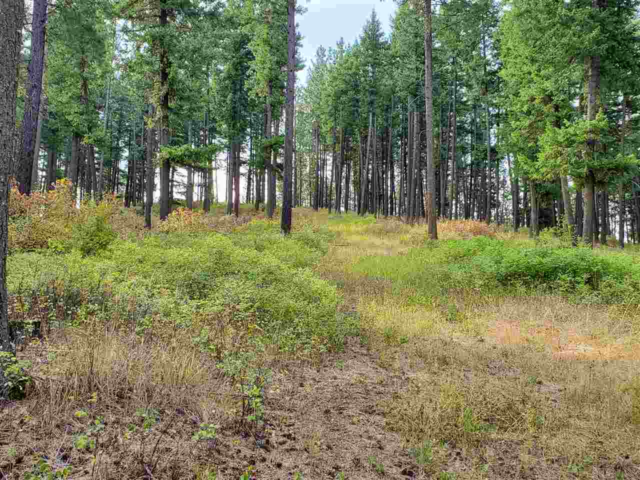 159-xx North Forker Road Spokane, WA 99217 - Photo 4 of 20