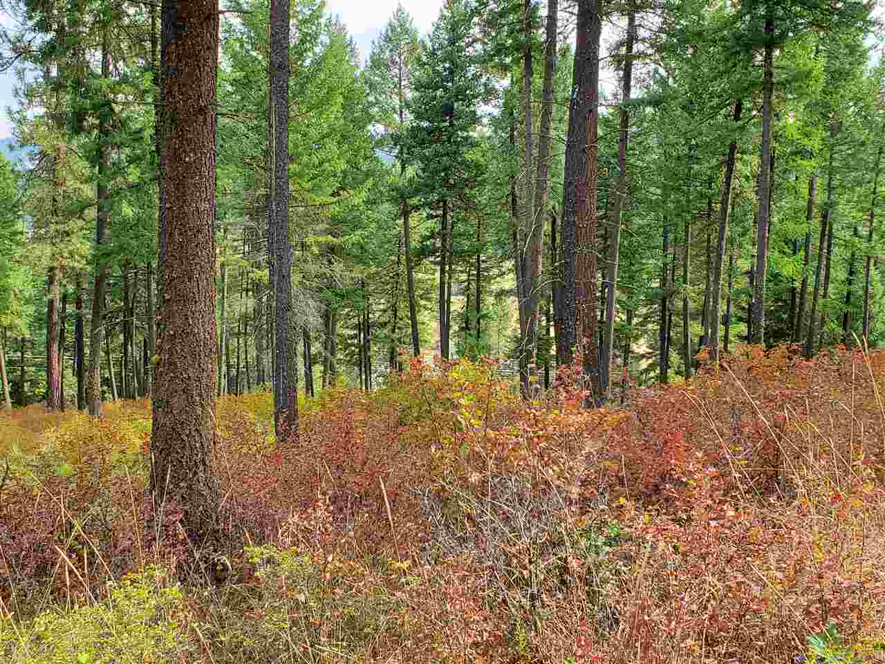 159-xx North Forker Road Spokane, WA 99217 - Photo 5 of 20