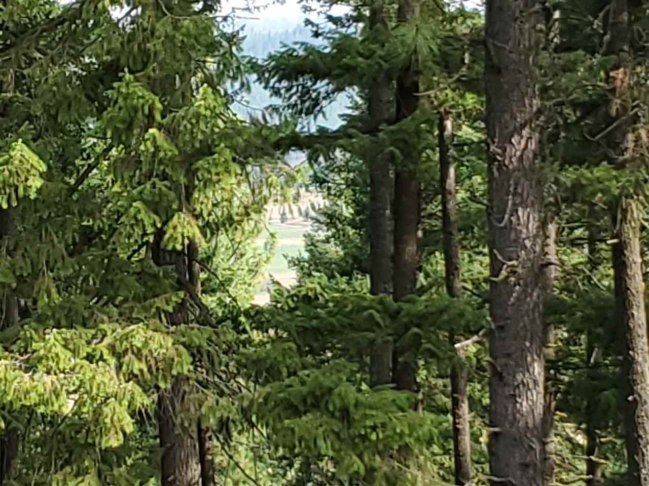 159-xx North Forker Road Spokane, WA 99217 - Photo 6 of 20