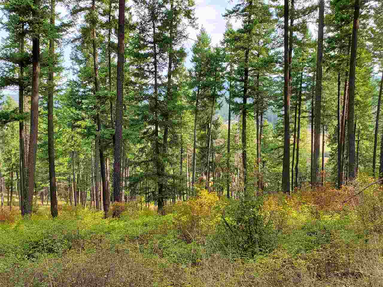 159-xx North Forker Road Spokane, WA 99217 - Photo 7 of 20