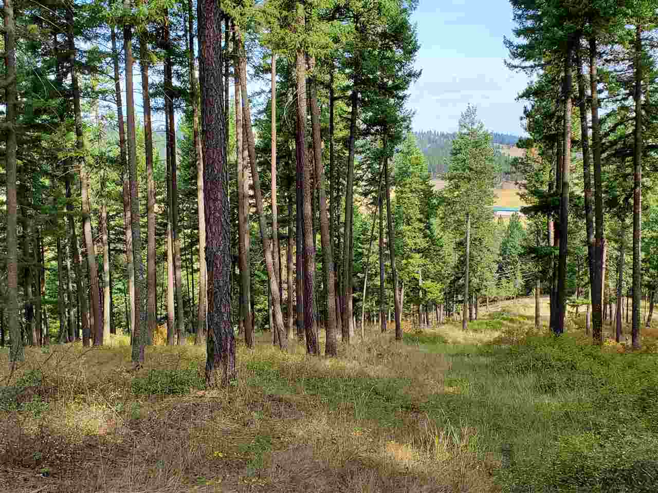 159-xx North Forker Road Spokane, WA 99217 - Photo 8 of 20