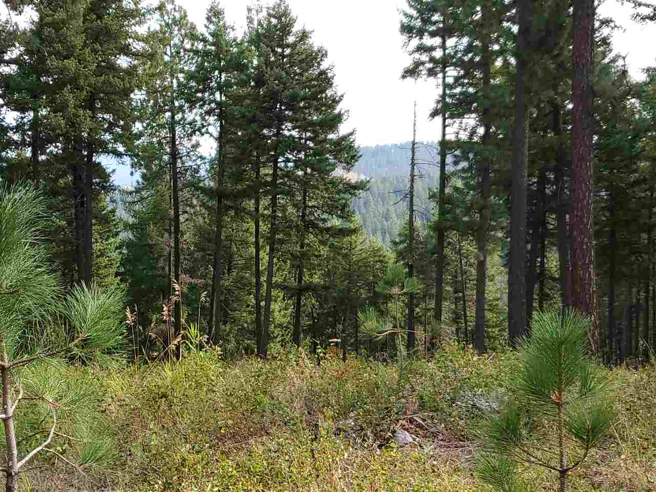 159-xx North Forker Road Spokane, WA 99217 - Photo 9 of 20