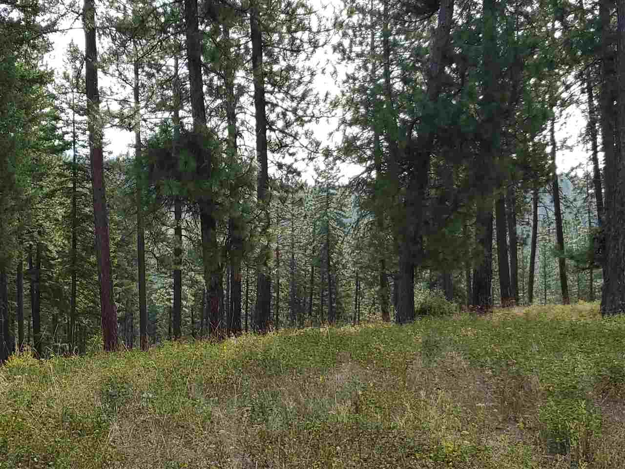 159-xx North Forker Road Spokane, WA 99217 - Photo 10 of 20