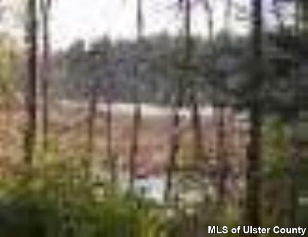 0 Ricci Road Accord, NY 12404 - Photo 2 of 4 Photo 3