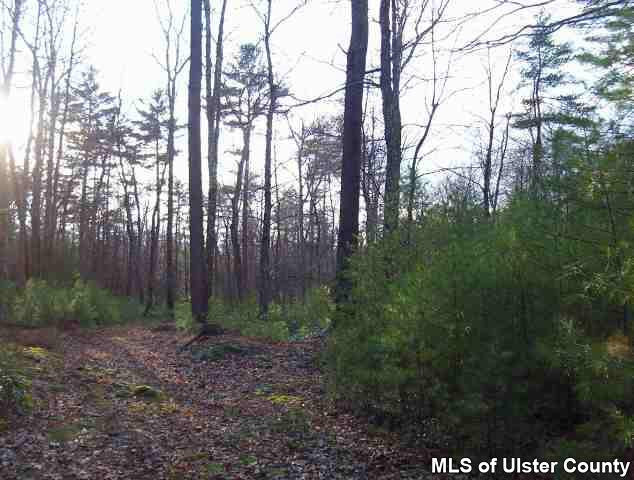 0 Ricci Road Accord, NY 12404 - Photo 3 of 4 Photo 4