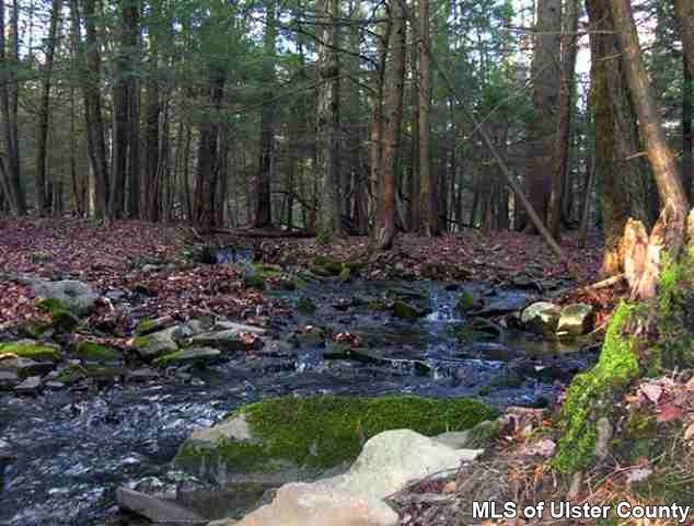 0 Ricci Road Accord, NY 12404 - Photo 4 of 4 Photo 5