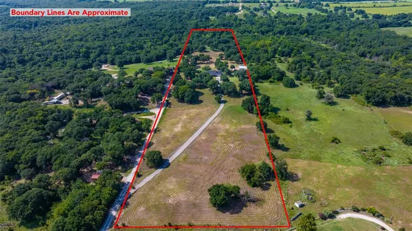 a picture of flowers