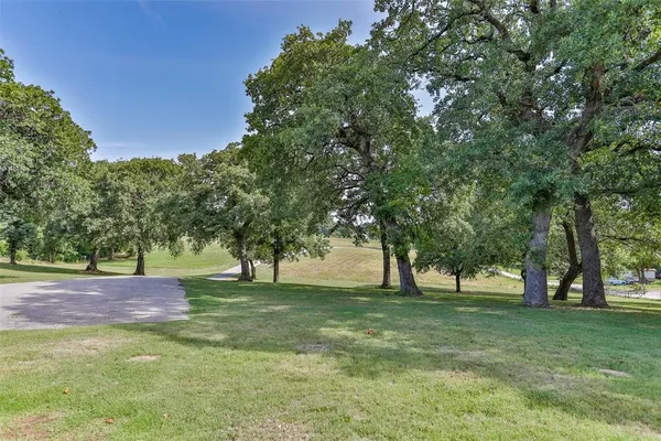 a view of yard with tree and green space