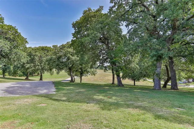 a view of yard with tree and green space