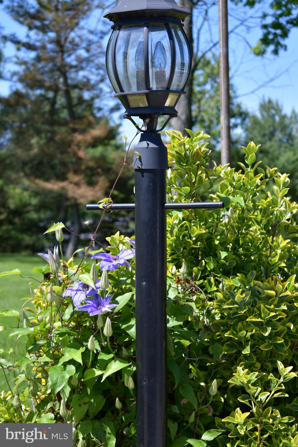 4319 Hoffmanville Road Manchester, MD 21102 - Photo 11 of 52 Landscaping