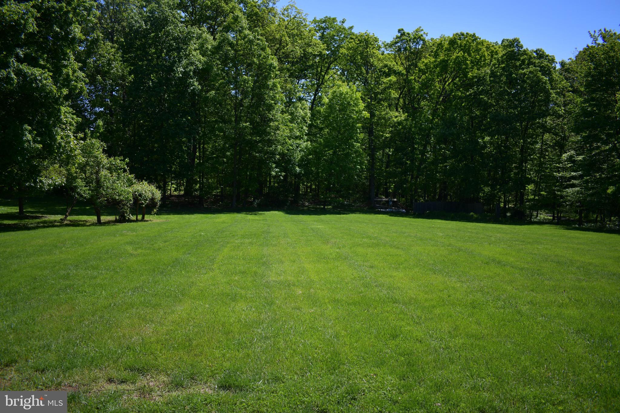 4319 Hoffmanville Road Manchester, MD 21102 - Photo 50 of 52 Back yard