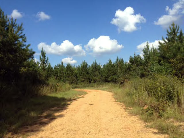 0 Ewell Road Centreville, MS 39631 - Photo 1 of 1 Main View