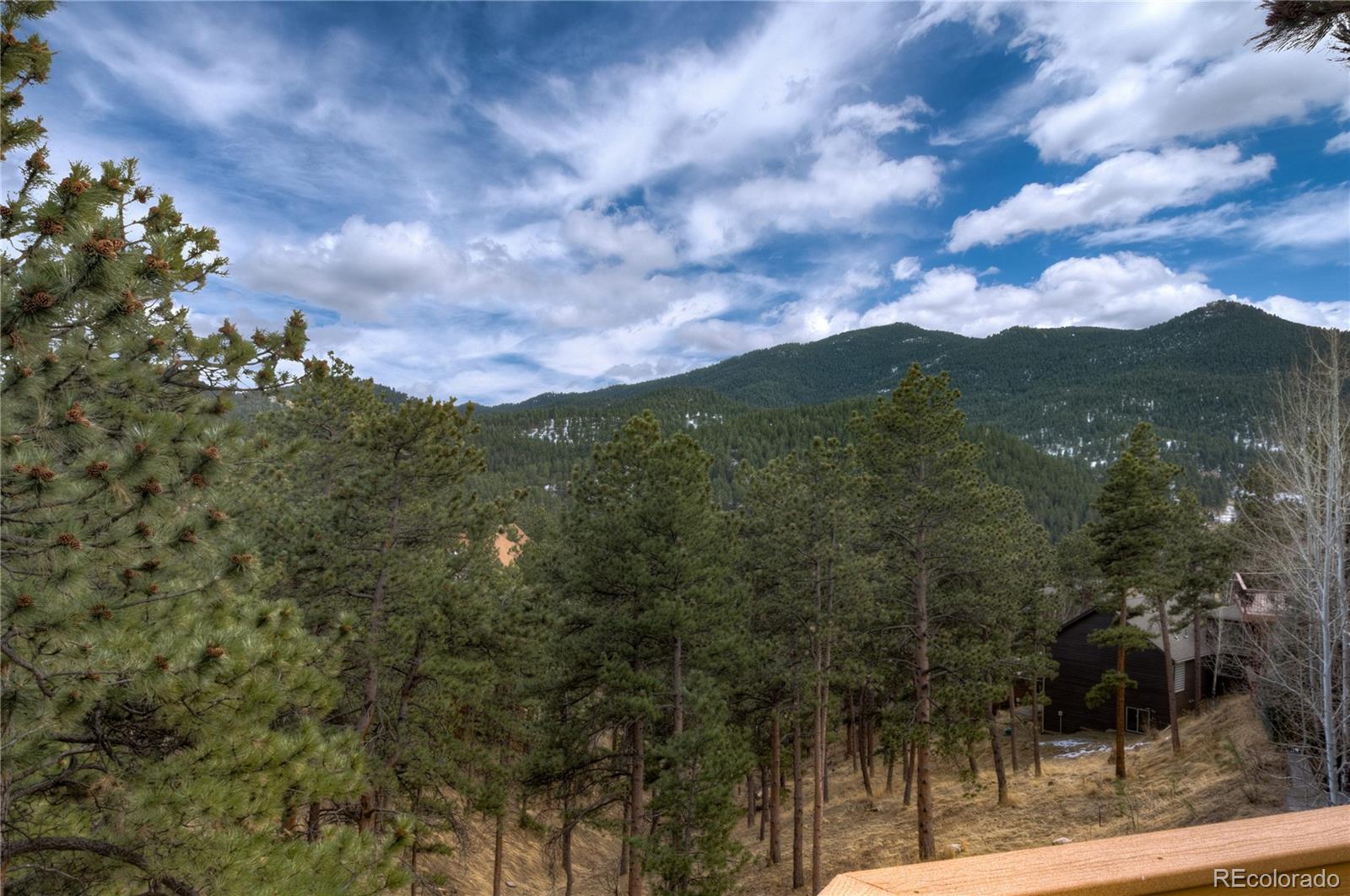 26228 Snowdrop Road Evergreen, CO 80439 - Photo 17 of 40 Gallery Image 17