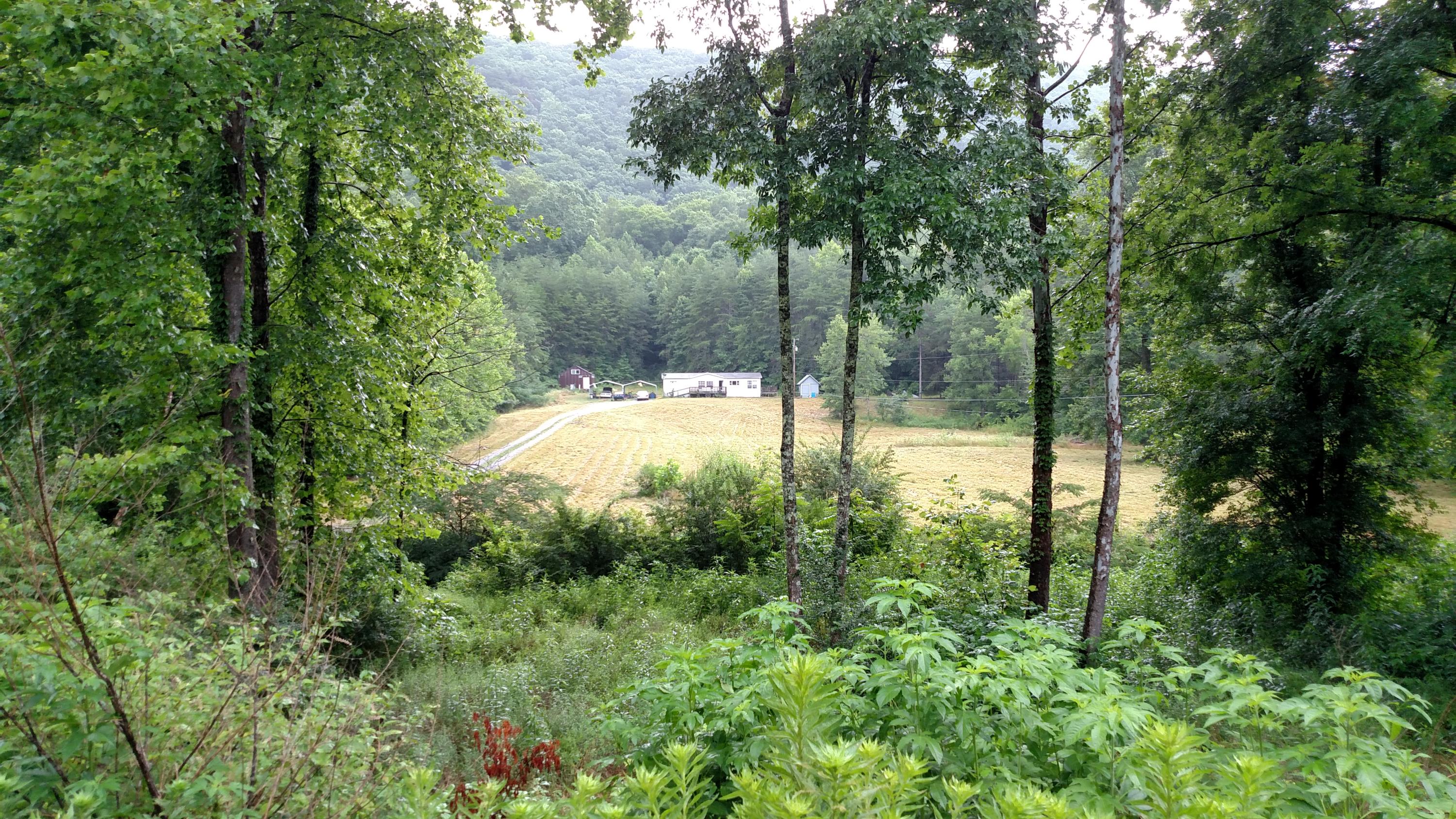 750 Frost Bottom Road Oliver Springs, TN 37840 - Photo 2 of 15 IMG_20160705_112949685