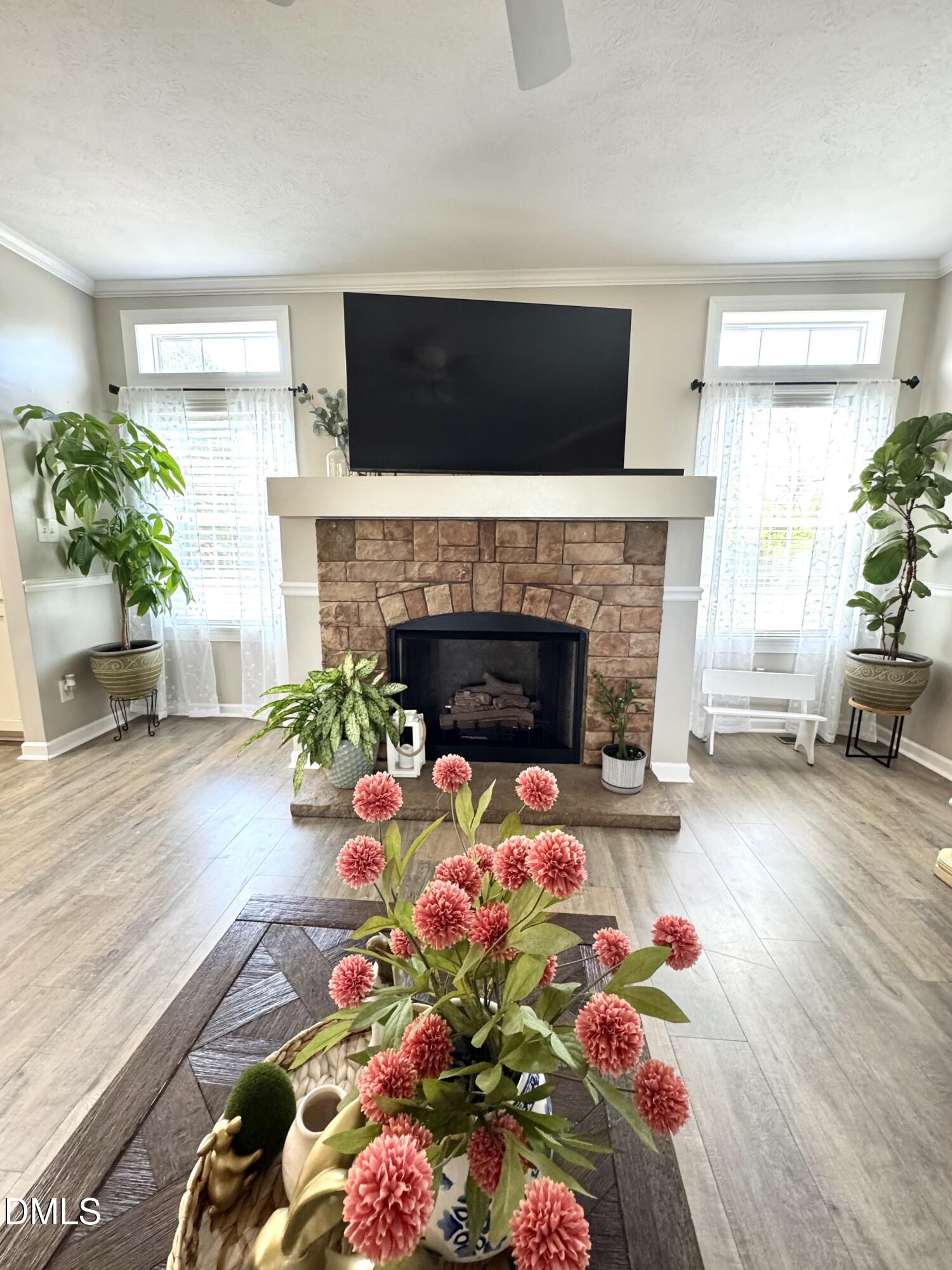 640 Tart Town Road Dunn, NC 28334 - Photo 12 of 71 a living room with furniture a fireplace and a potted plant