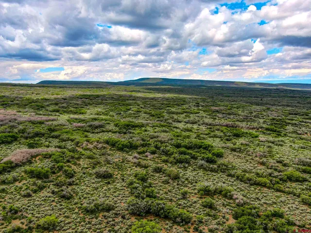 a view of a lake with beach