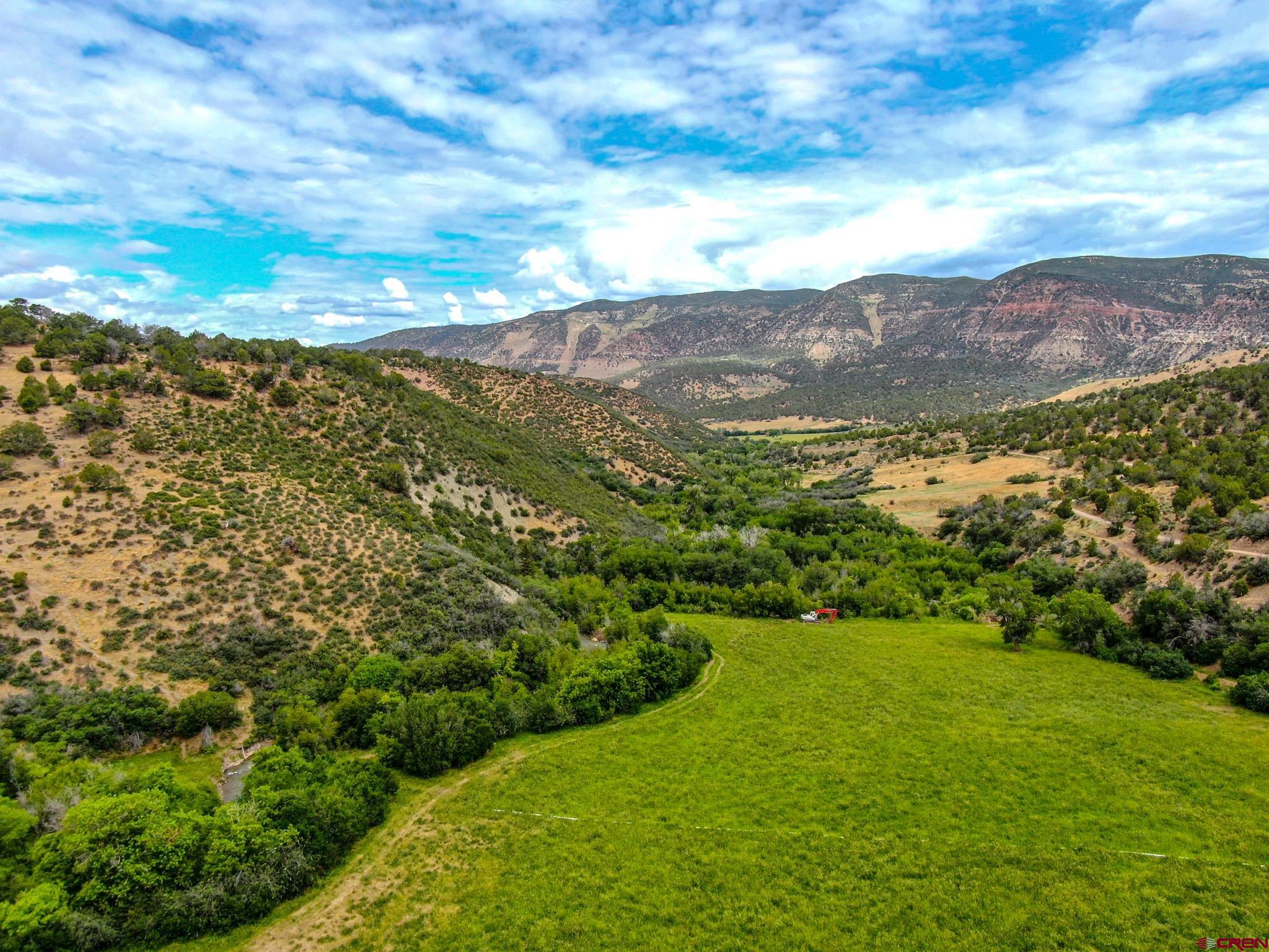 6300 Minnesota Creek Road Somerset, CO 81428 - Photo 6 of 22 a view of a lush green field