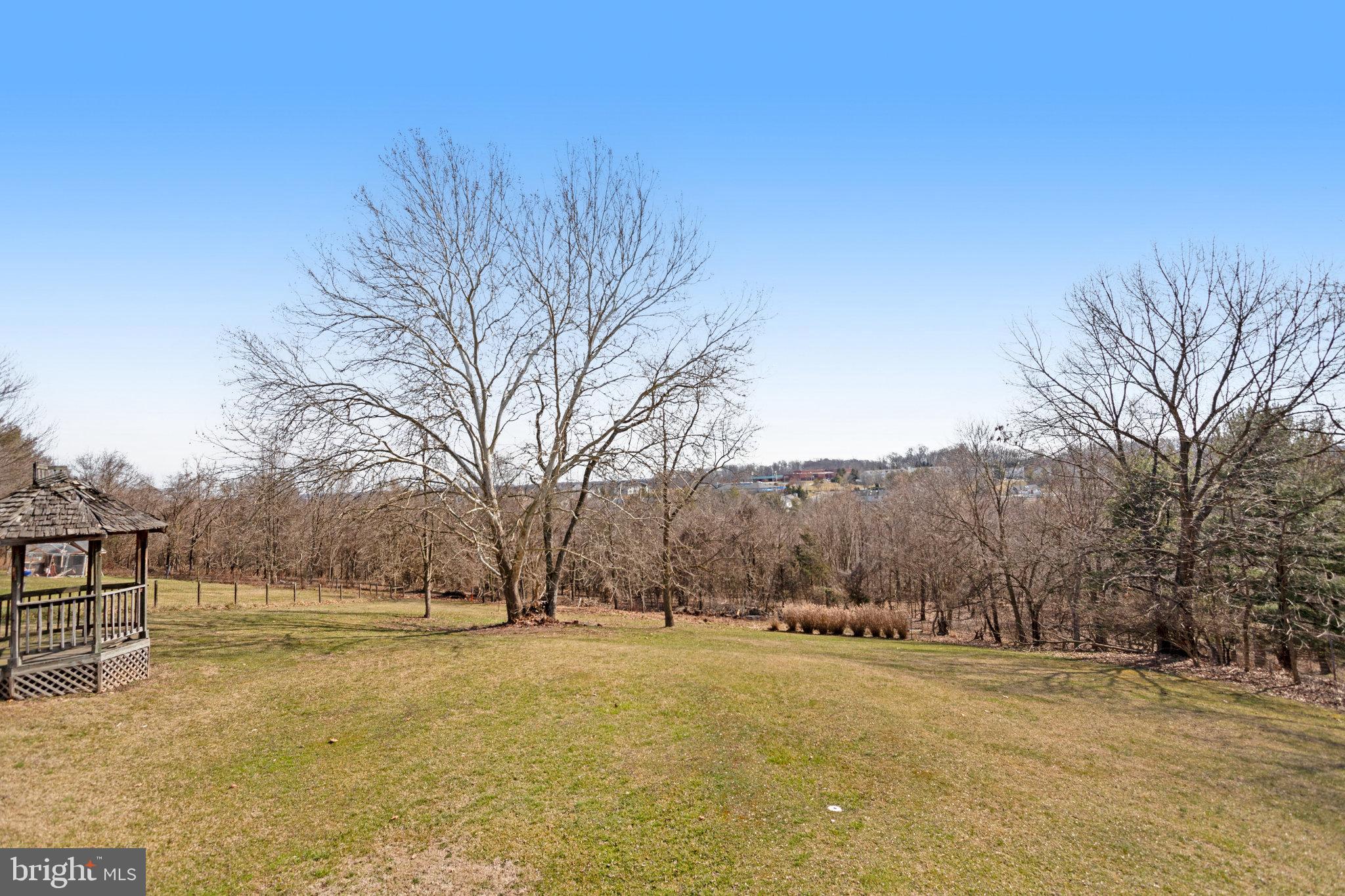 6343 Yeagertown Road New Market, MD 21774 - Photo 49 of 58 a view of outdoor space yard and tree