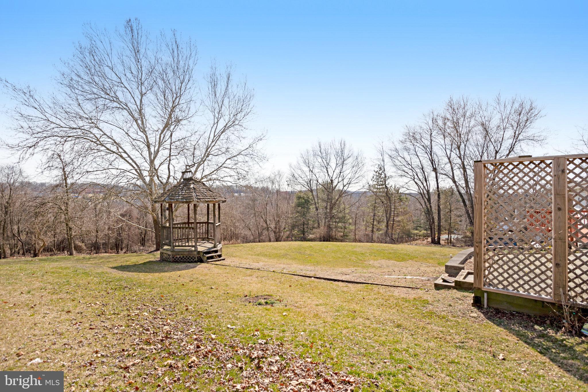 6343 Yeagertown Road New Market, MD 21774 - Photo 50 of 58 a view of a yard with basketball court
