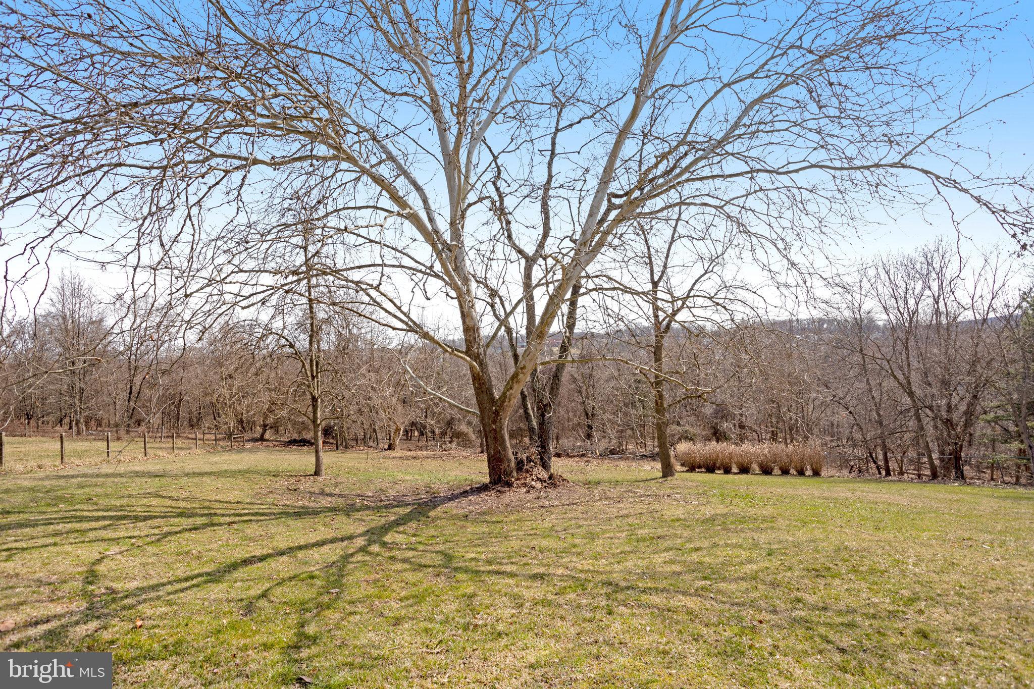 6343 Yeagertown Road New Market, MD 21774 - Photo 56 of 58 a view of outdoor space with trees