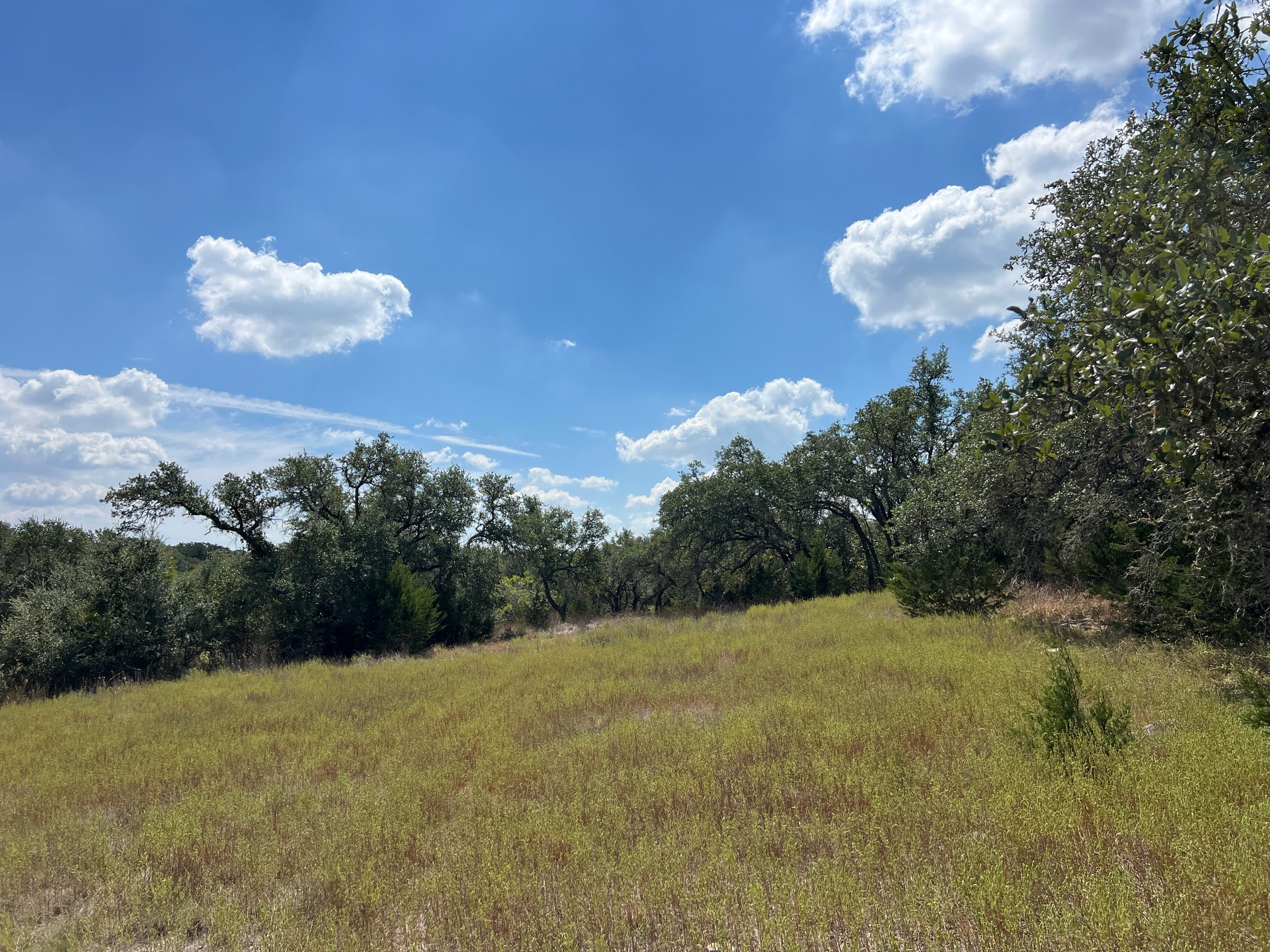 992 Hines Br Road Blanco, TX 78606 - Photo 15 of 23 slopes toward the creek