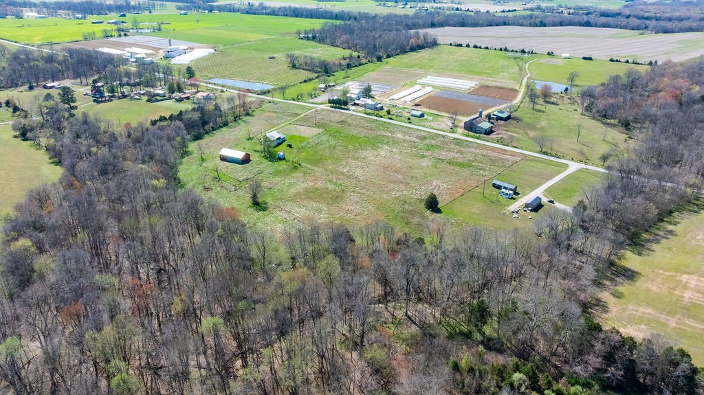 752 Stuart Chapel Road Lewisburg, KY 42256 - Photo 21 of 33 a backyard of a house with lots of green space
