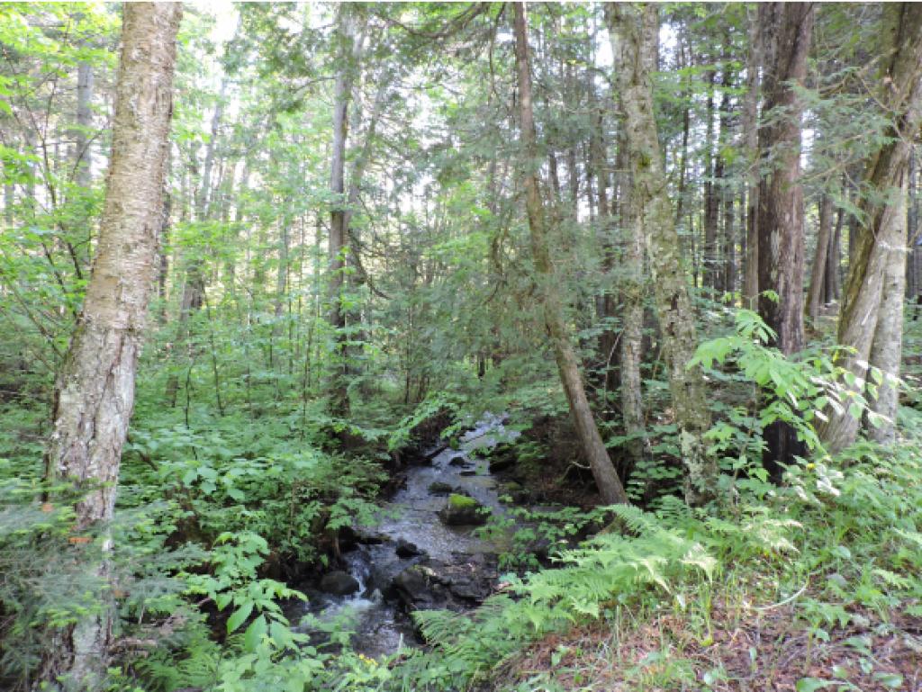 2234 Brook Road Burke, VT 05871 - Photo 17 of 19 Gallery Image 17