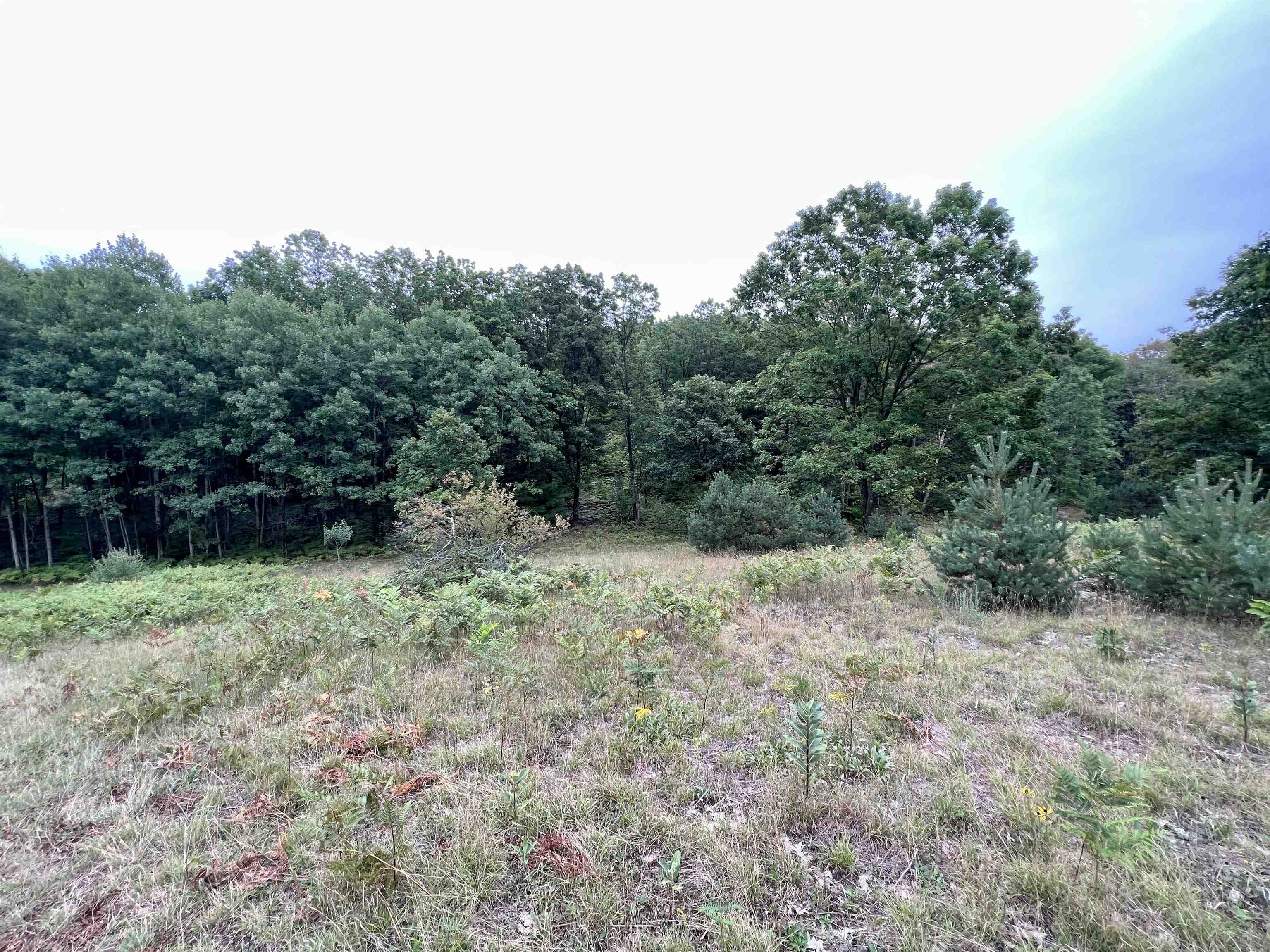 9 9 Mile Road Kingsley, MI 49649 - Photo 56 of 66