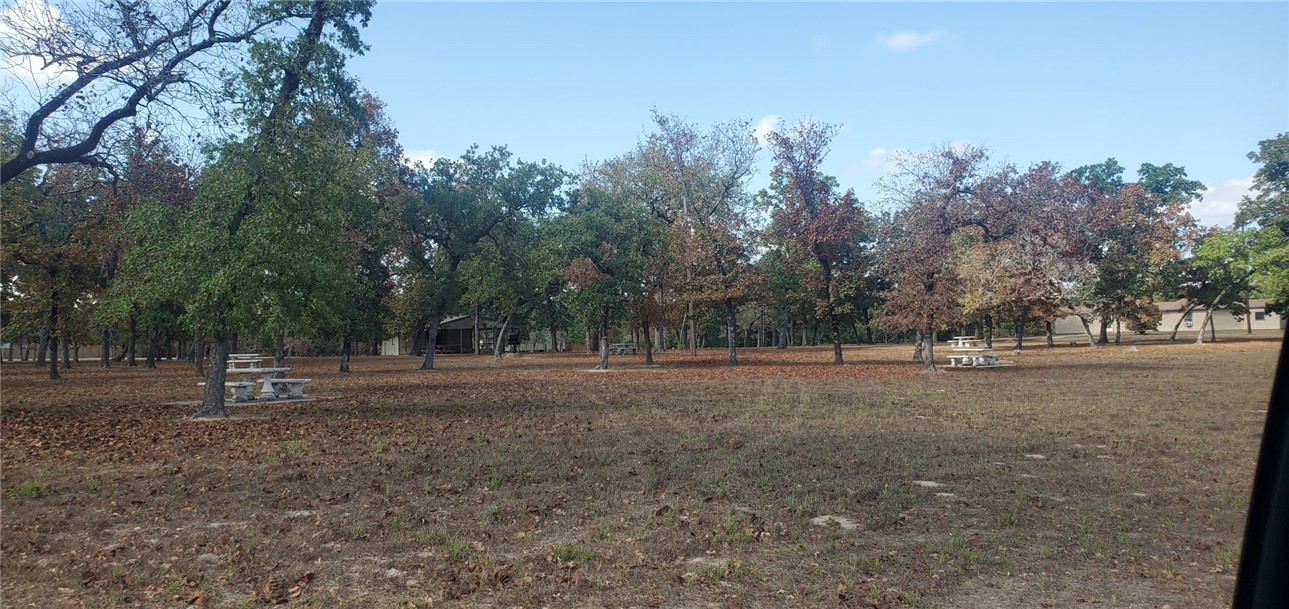 29044 Red Fox Hempstead, TX 77445 - Photo 12 of 25 a view of dirt yard with trees