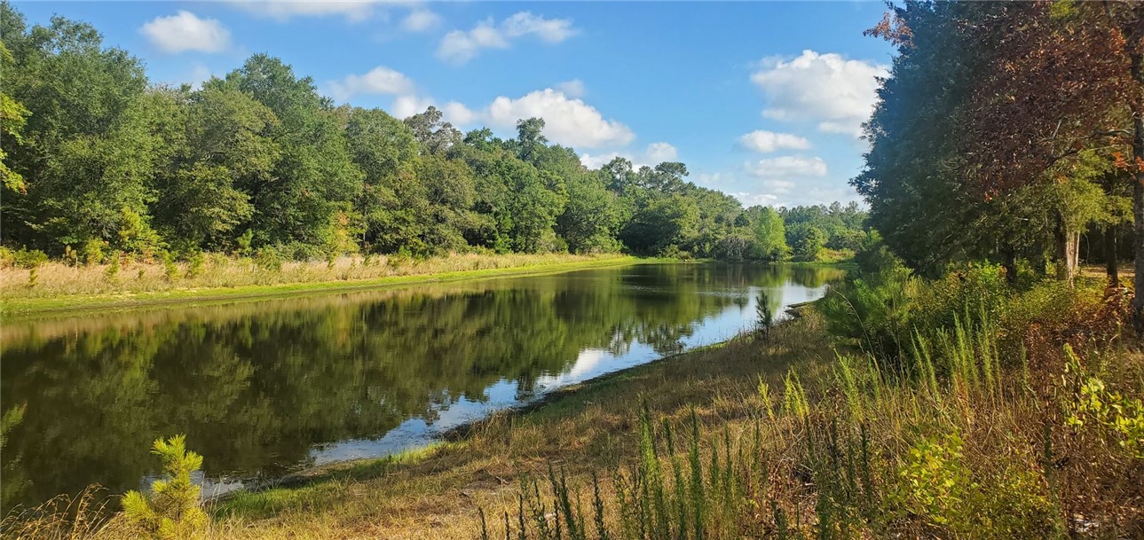 29044 Red Fox Hempstead, TX 77445 - Photo 2 of 25 a view of a lake with a yard and large trees