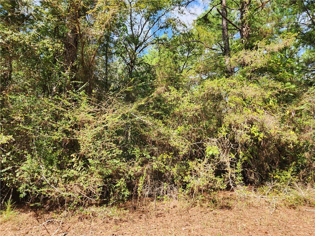 29044 Red Fox Hempstead, TX 77445 - Photo 23 of 25 a view of a yard