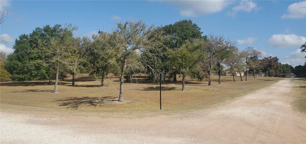 29044 Red Fox Hempstead, TX 77445 - Photo 3 of 25 a view of a yard with trees