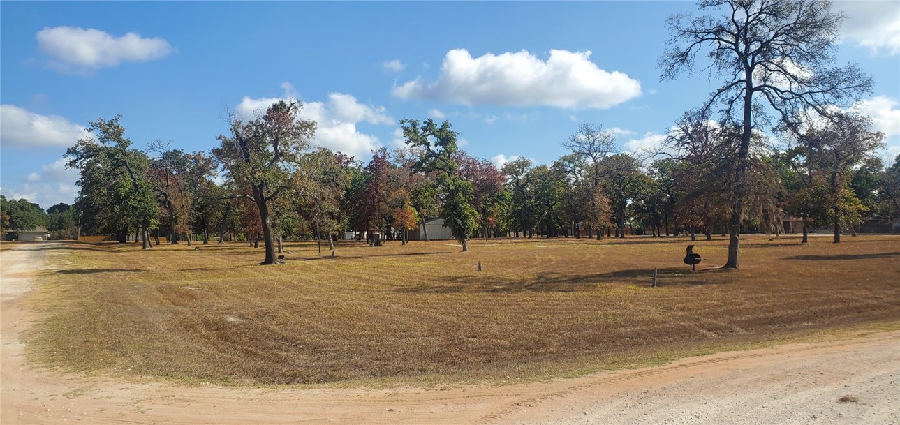 29044 Red Fox Hempstead, TX 77445 - Photo 4 of 25 a view of a yard with trees