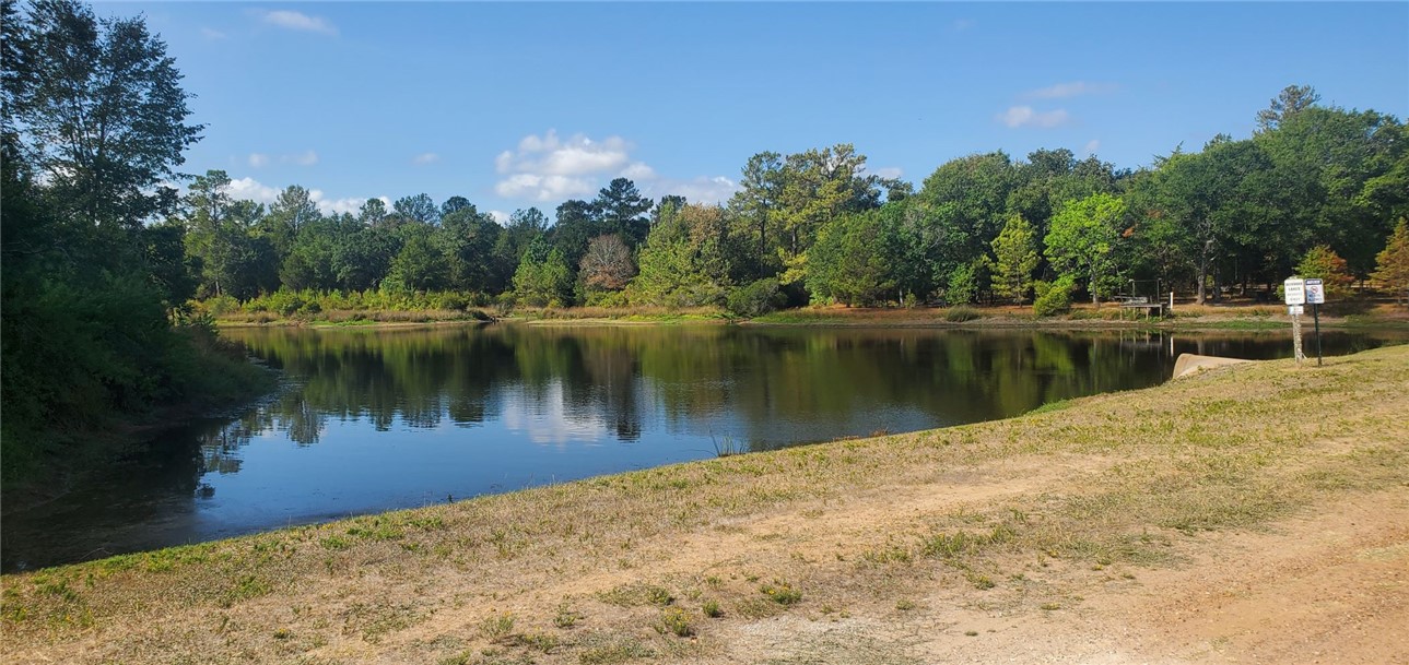 29044 Red Fox Hempstead, TX 77445 - Photo 6 of 25 a view of a lake
