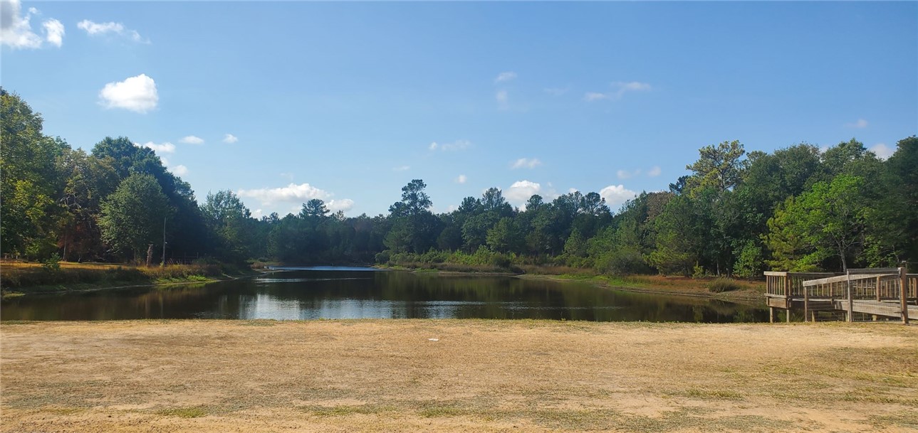 29044 Red Fox Hempstead, TX 77445 - Photo 8 of 25 a view of a lake with a yard