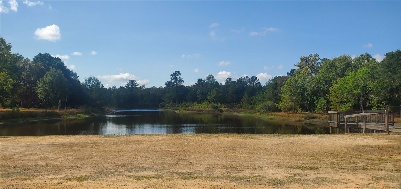 29044 Red Fox Hempstead, TX 77445 - Photo 9 of 25 a view of a lake