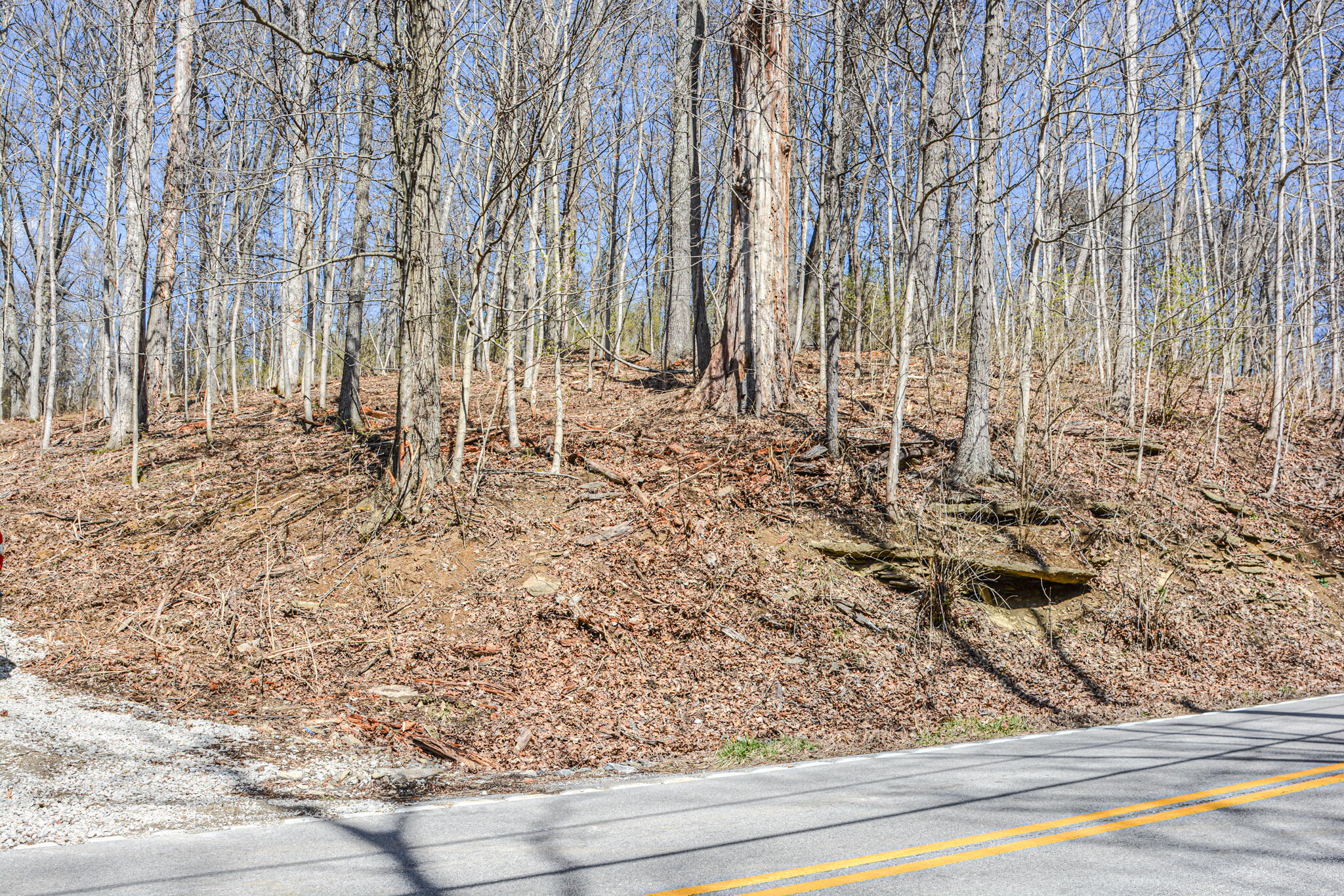 Lot 1 Idlewild Road Burlington, KY 41005 - Photo 14 of 24 Gallery Image 14